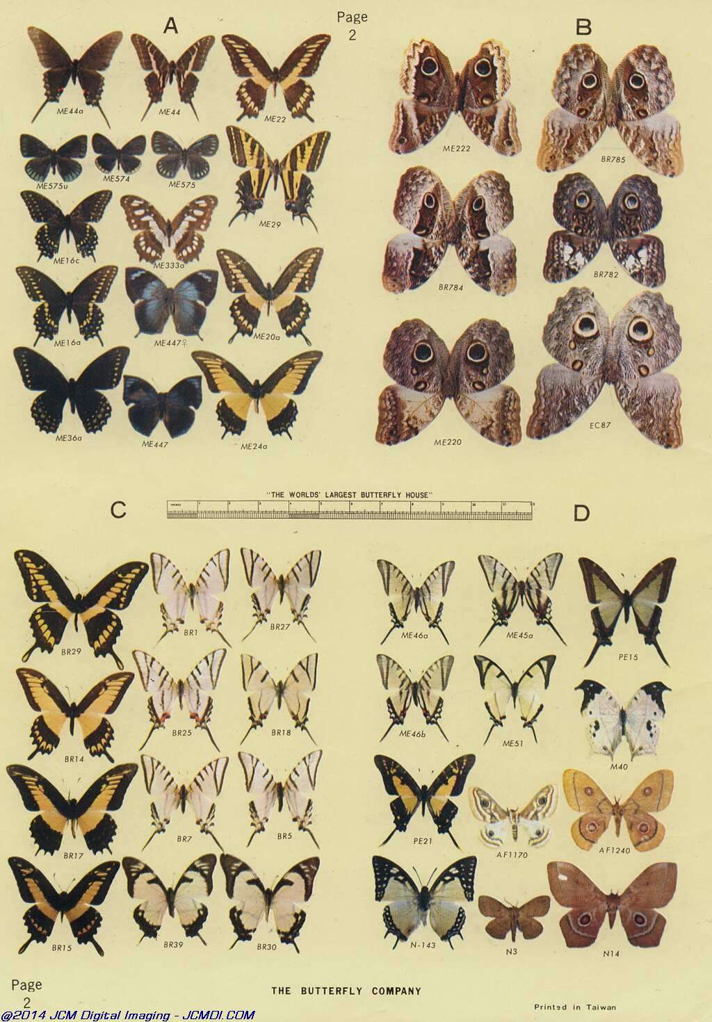 The Butterfly Company (NY) 18 page catalog 1976